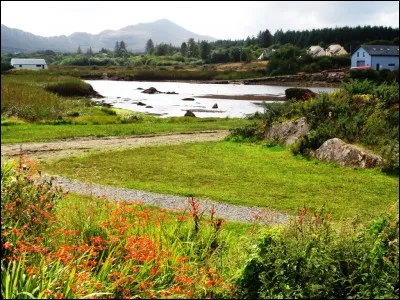 Musique : Quel instrument traditionnel de la musique folklorique irlandaise est devenu l'un des symboles du pays ?