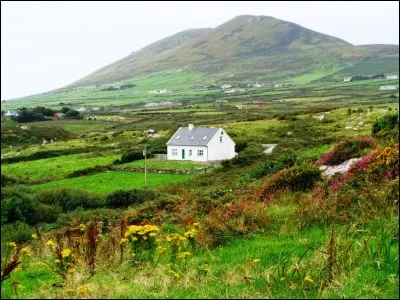 Société : Suite à quel événement de l'histoire irlandaise le trèfle est-il devenu l'autre symbole du pays ?