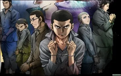 Quel est ce seinen ?