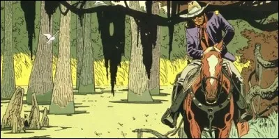 Dans la bande dessinée "Jim Cutlass", notre jeune héros se retrouve à lutter contre :