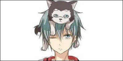 Quel sport pratique Kuroko dans le manga éponyme ?