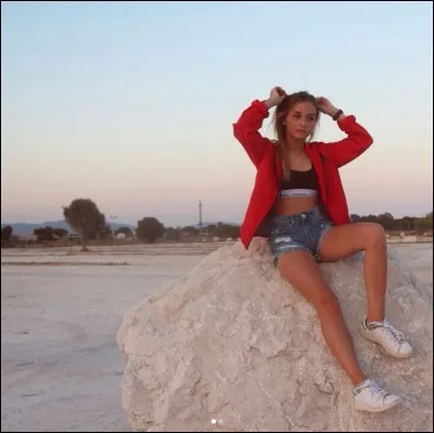 Quelle est sa couleur préférée ?