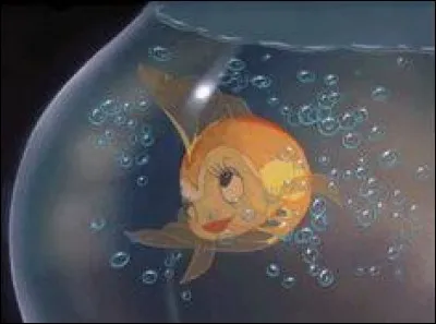 Je suis Cléo le poisson rouge de Peter Pan.