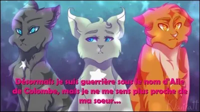 Quel pouvoir a Aile de Colombe ?