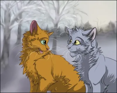 Quels sont les noms de guerriers de Nuage de Feu et de Nuage Gris ?