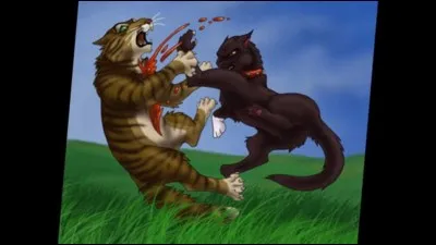 Qui a tué Étoile du Tigre en lui ôtant ses sept vies d'un coup ?