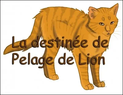 Quel est le pouvoir de Pelage de Lion ?