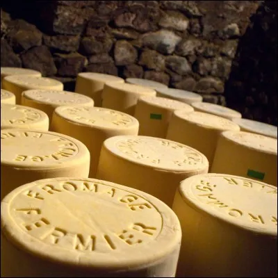 Le terme de "salers" est une appellation d'origine contrôlée et aussi une appellation d'origine protégée.