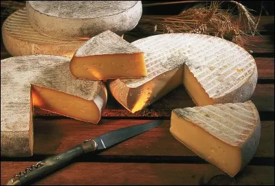 J'affirme que l'on ne fabrique pas de saint-nectaire dans le Cantal pas plus que dans le Puy-de-Dôme.