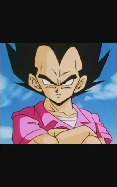 Qu'est-il écrit sur la chemise de Vegeta ?