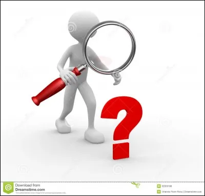 Quel domaine est particulièrement abordé en SIN ?