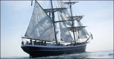 Le Morgenster est un brick néerlandais de 48 mètres. Quelle est la caractéristique de ce type de navires ?