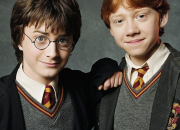 Test Harry ou Ron ?