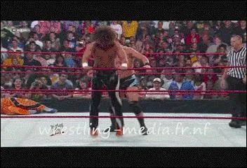 Comment s'appelle cette finisher ?