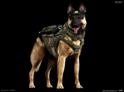 Comment s'appelle la chienne de Hesh ?