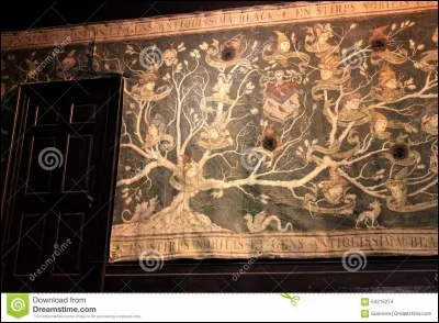 À qui appartient la maison que l'Ordre utilise comme repère ?