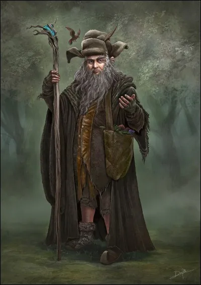 Dans le film - Voit-on Radagast le Brun ?