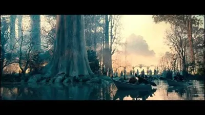 Dans le livre - Coche les elfes de la lorien.