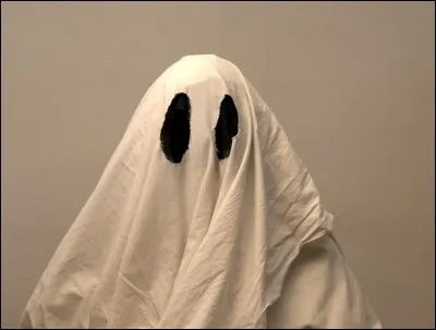 De plus en plus dur. 
Quel logiciel connu a pour logo un petit fantôme ?