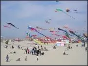 Sur cette photo, que voit-on ?