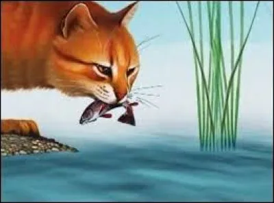 Tu rates une souris qui passe entre tes pattes et on se moque de toi :