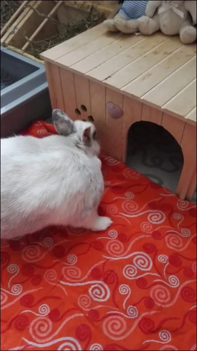 Qu'est-ce que la "rabouillère" ?