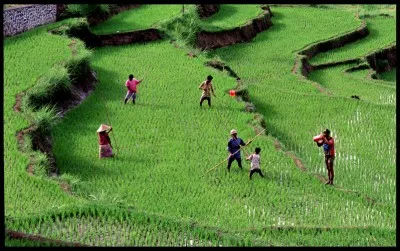 (parodie) Plus on est de fous, plus on ...