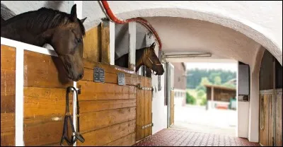 Où logent les chevaux ?