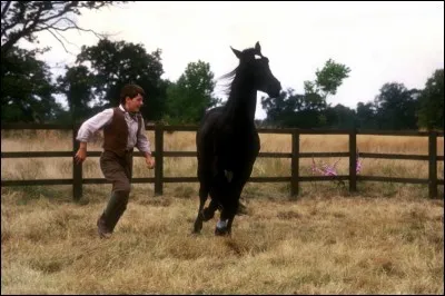 Dans quel film y a-t-il un cheval ?