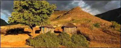 Quel dictateur a dirigé l'Ouganda dans les années 70 ?