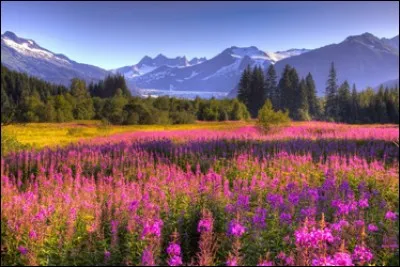 Le cercle arctique passe aussi aux États-Unis, en Alaska. Quelle est la capitale de cet État ?