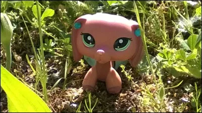 Comment a-t-elle appelé sa mascotte ?