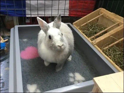 La quantité d'urine quotidienne varie de :