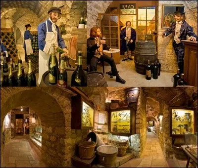 Allons « rue des eaux » !
Cette rue tient son nom du fait de la présence de nombreuses sources d'eau thermale. Des gens comme Boileau, d'Alembert, Lavoisier venaient les fréquenter. Ces sources avaient la réputation de guérir l'anémie. Auparavant, des moines exploitèrent l'endroit.
Elle accueille un musée qui peut sembler paradoxale en cet endroit !