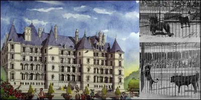 Restons dans ce « château de Madrid » !
Cette anecdote semble irréelle et c'est bien possible ! Le roi Henri III aimait bien ce château, il aimait venir s'y reposer ! En plus, il y avait décidé de le transformer en une sorte de « jeux du cirque » où les combats d'animaux étaient « à l'affiche » !
Pourquoi décida-t-il d'arrêter cette malsaine activité ?