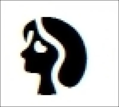 Sur un appareil photo, à quoi correspond ce pictogramme?