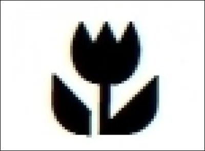 Sur un appareil photo, à quoi correspond ce pictogramme ?