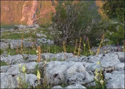 À quel photographe de l'exposition correspond ce détail de photo ?