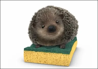 Quelle est cette marque ?