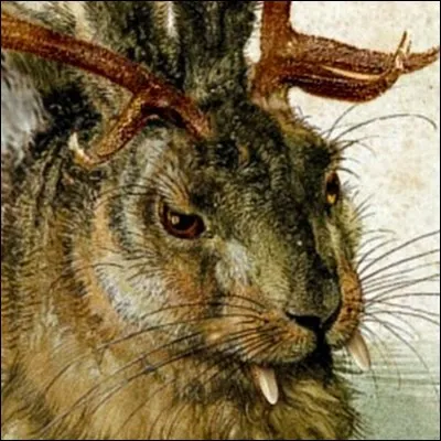 Dans quelle région d'Allemagne peut-on rencontrer des Wolpertinger ?
