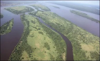 Qu'est-ce-que le "Mokélé-mbembé", créature originaire d'Afrique ?