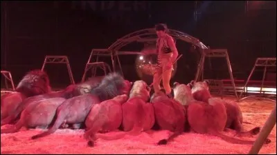 Apposez votre griffe sur la réponse !