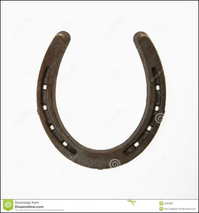 Il paraît que ça porte bonheur !