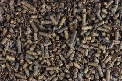 Quel est cet aliment ?