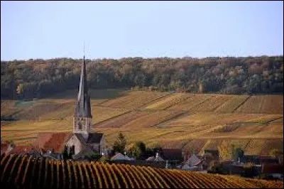Nous restons dans le Grand-Est, avec une découverte de Chamery. Village viticole, dans le parc naturel régional de la Montagne de Reims, il se situe dans le département ...