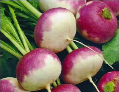 Quelle préposition complète la phrase : "Dans les usines chinoises, les vêtements sont produits ... .