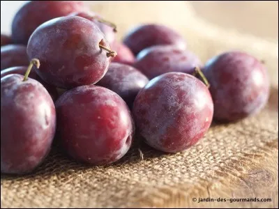 Je désigne le sens particulier dans lequel un mot est employé. Qui suis-je ?