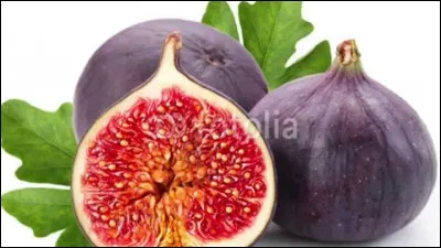 Complétez par les formes verbales qui conviennent : "Gavroche ... que son exemple ... la cause de la Révolution."