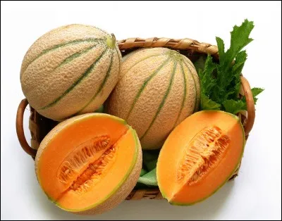 Parmi les mots suivants, lequel s'écrit avec un seul "t" ?