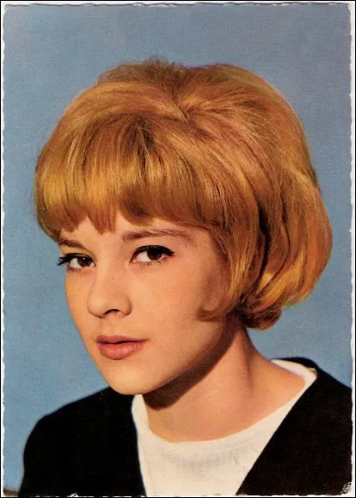 C'est une espèce de plantes herbacées des sous-bois tempérés de l'hémisphère nord.